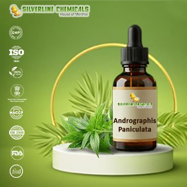 Andrographis Paniculata Exporter In Chicago