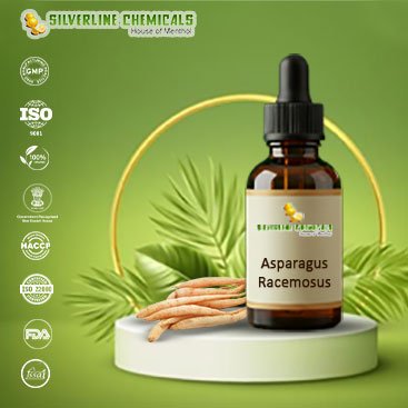 Asparagus Racemosus Supplier In Iran