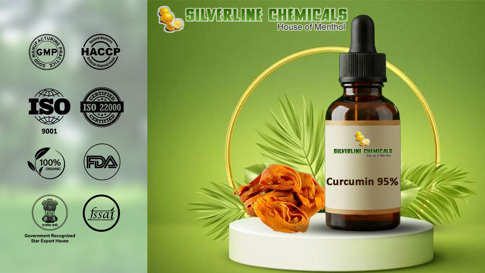 Curcumin 95% Manufacturers