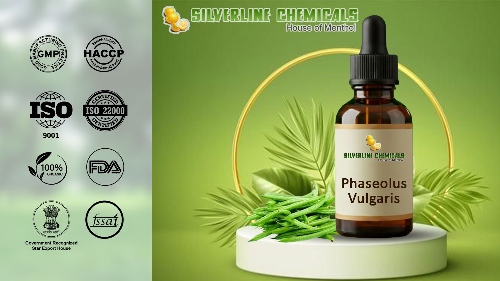 Phaseolus Vulgaris Manufacturers